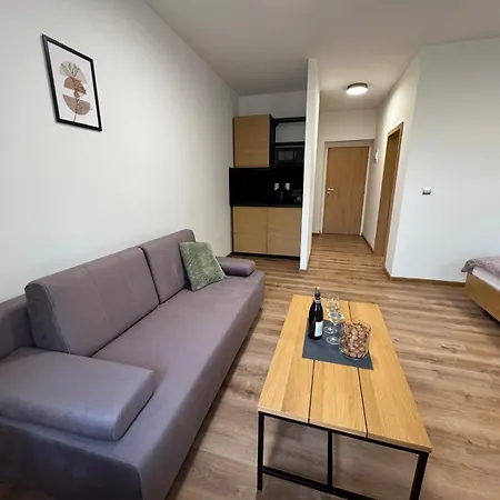 Apartment Mikulov 45 *