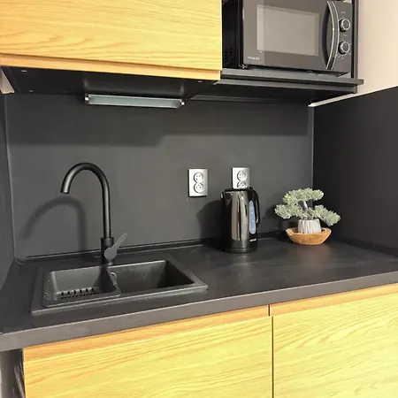 Apartment Mikulov 45