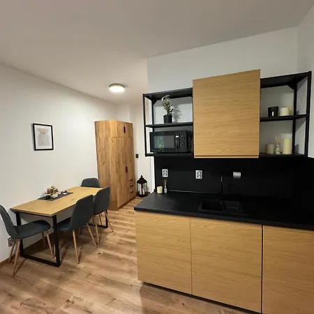 Apartment Mikulov 45 Mikulov v Krusnych Horach