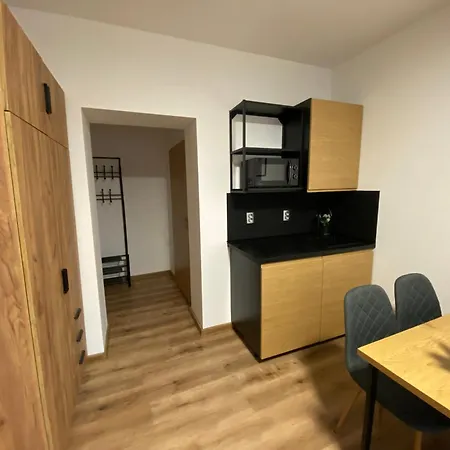 Mikulov 45 Apartment Mikulov v Krusnych Horach